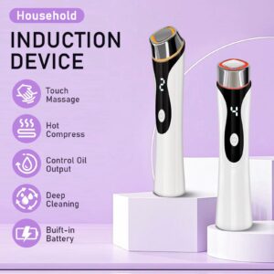 Household Induction Facial Wand – 4-in-1 Skincare Companion